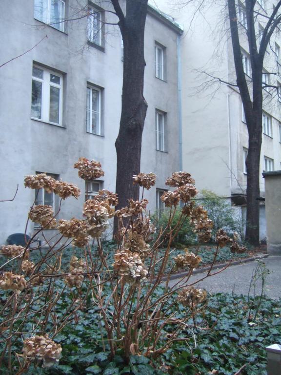 Vienna Top Comfort Apartment Buitenkant foto